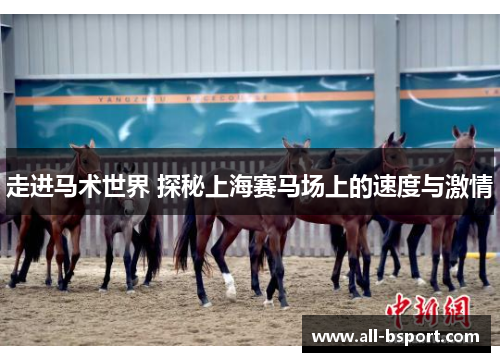 走进马术世界 探秘上海赛马场上的速度与激情